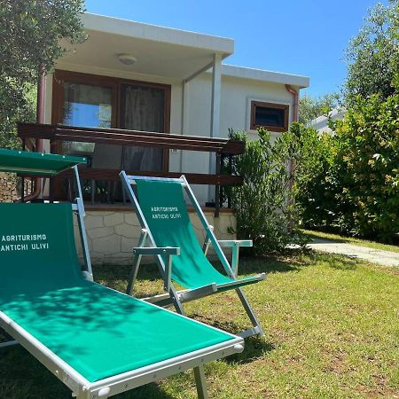 Agriturismo Antichi Ulivi マッティナータ エクステリア 写真