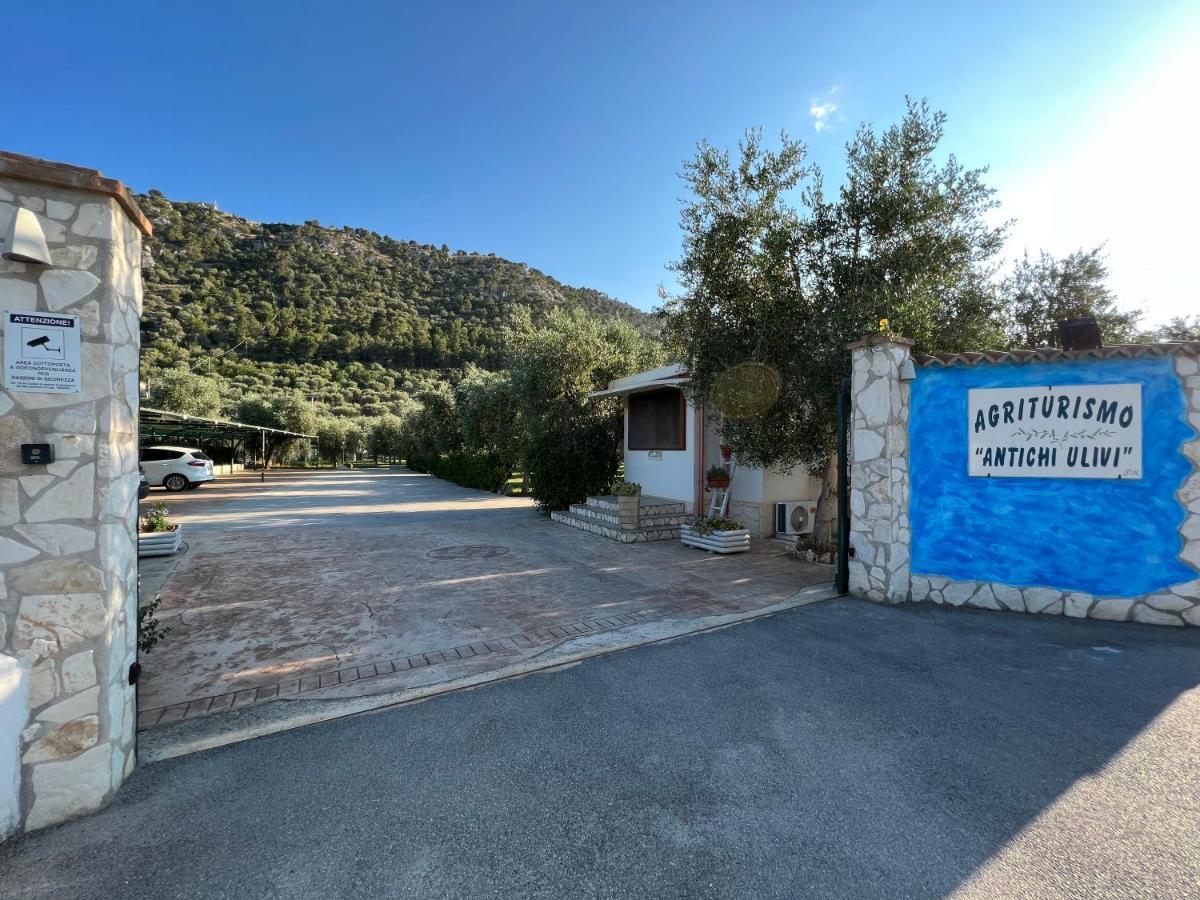Agriturismo Antichi Ulivi マッティナータ エクステリア 写真