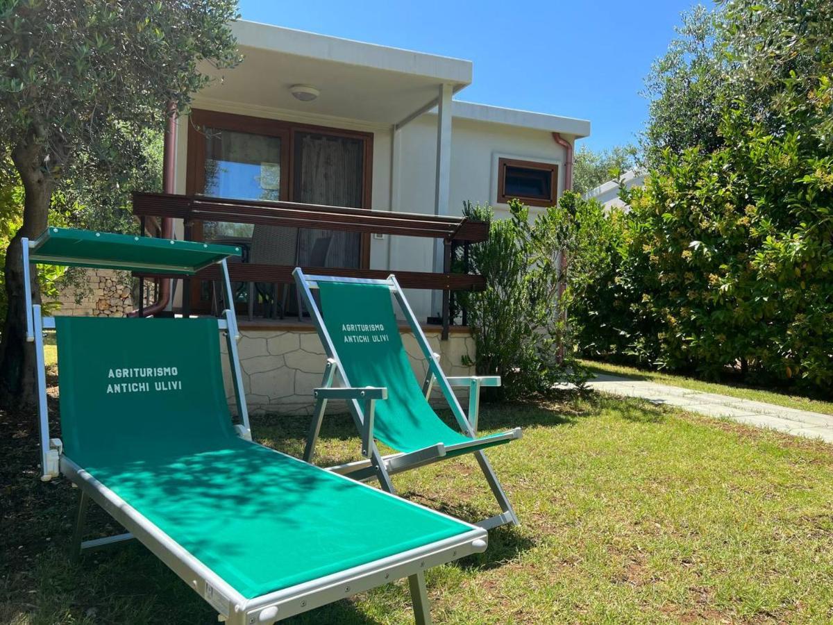Agriturismo Antichi Ulivi マッティナータ エクステリア 写真