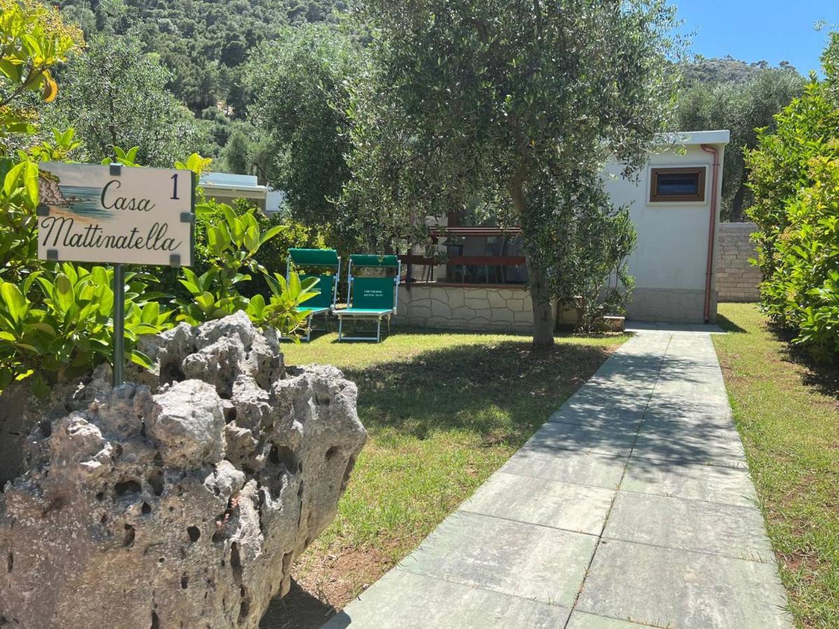 Agriturismo Antichi Ulivi マッティナータ エクステリア 写真
