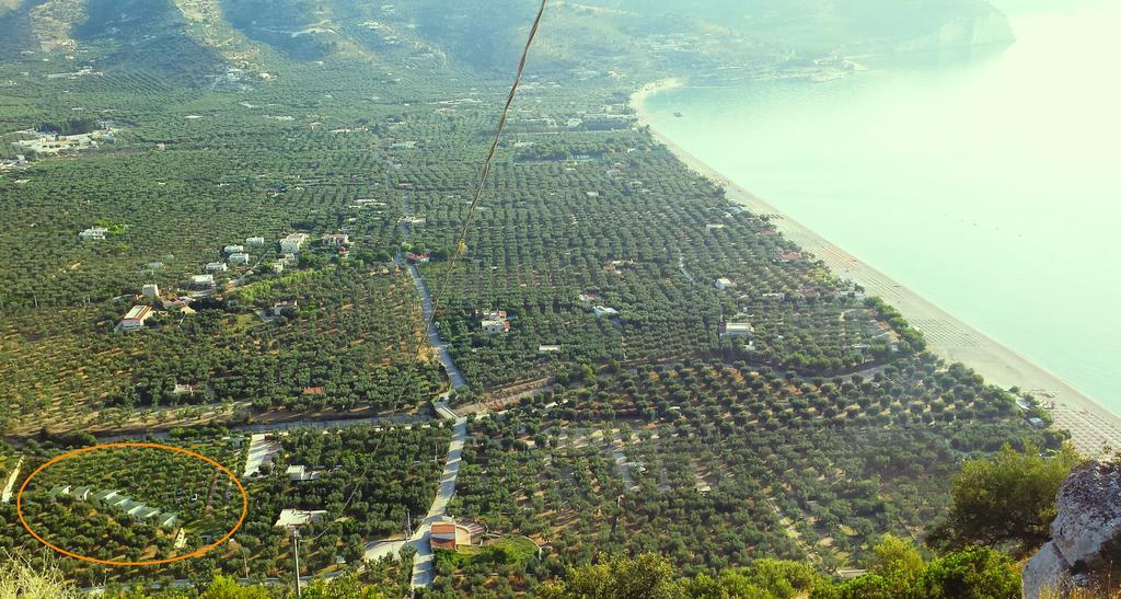 Agriturismo Antichi Ulivi マッティナータ エクステリア 写真