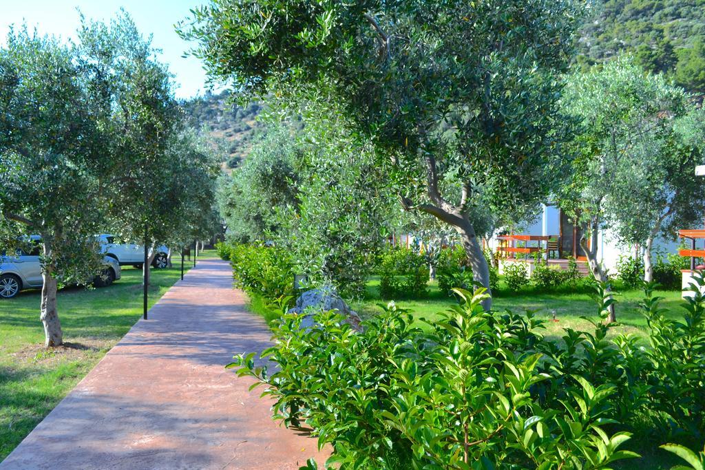 Agriturismo Antichi Ulivi マッティナータ エクステリア 写真