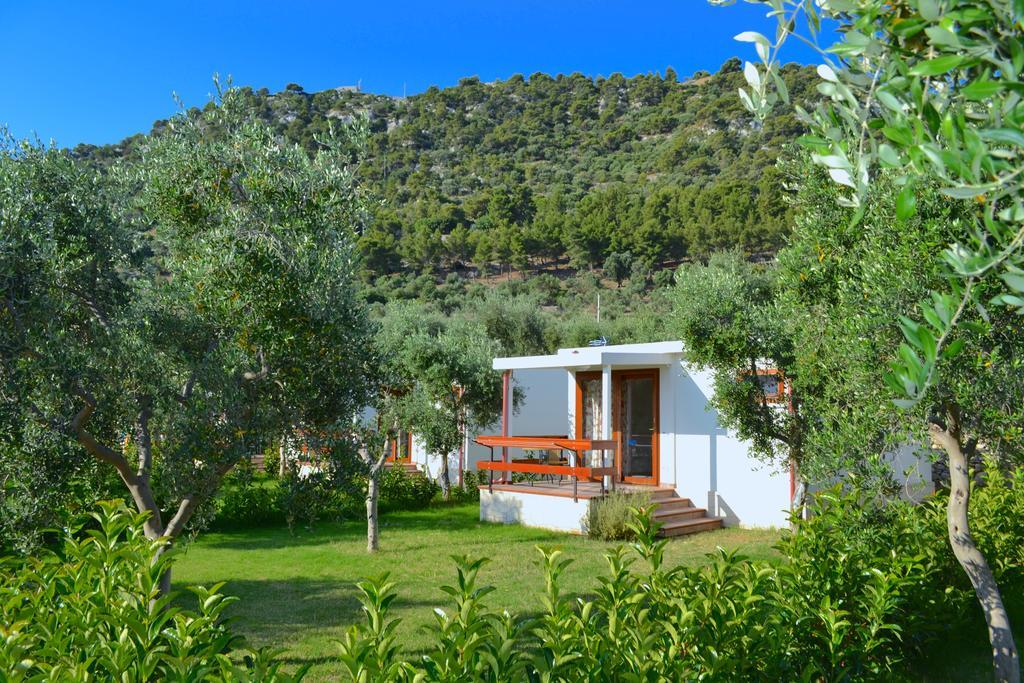 Agriturismo Antichi Ulivi マッティナータ エクステリア 写真