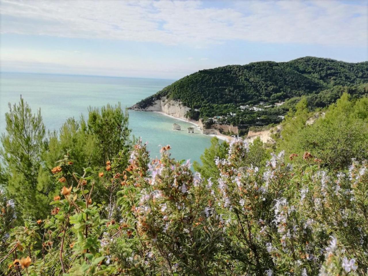 Agriturismo Antichi Ulivi マッティナータ エクステリア 写真