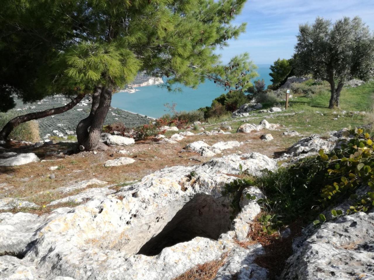 Agriturismo Antichi Ulivi マッティナータ エクステリア 写真
