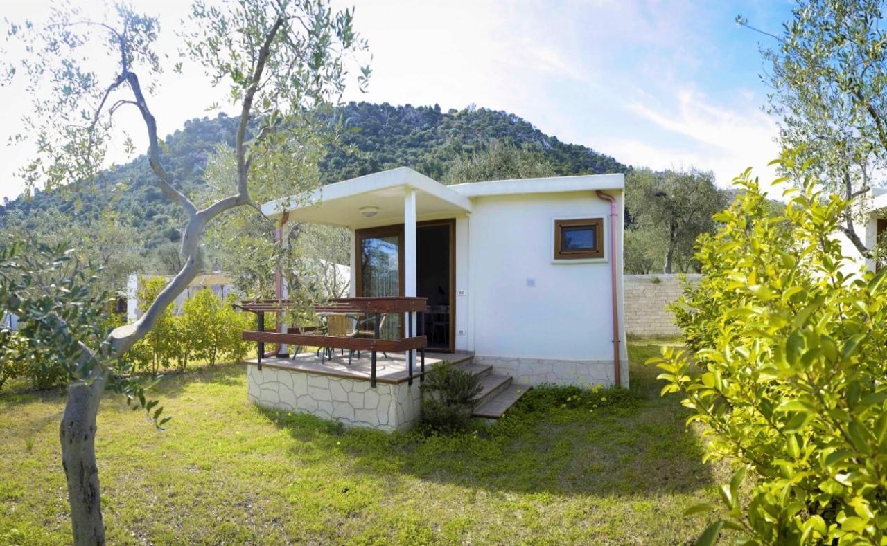 Agriturismo Antichi Ulivi マッティナータ エクステリア 写真